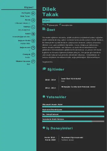 Eczacı CV Örnekleri cv indir